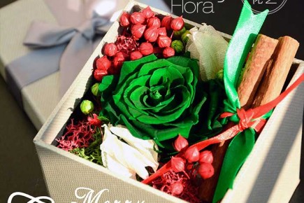 Jenly Flora | 圣诞花盒